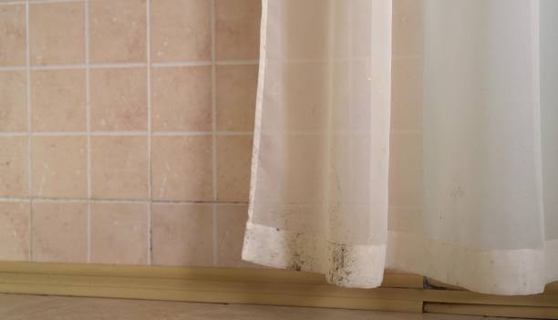 Best Real Estate Mold Inspection  in Oxford, IN